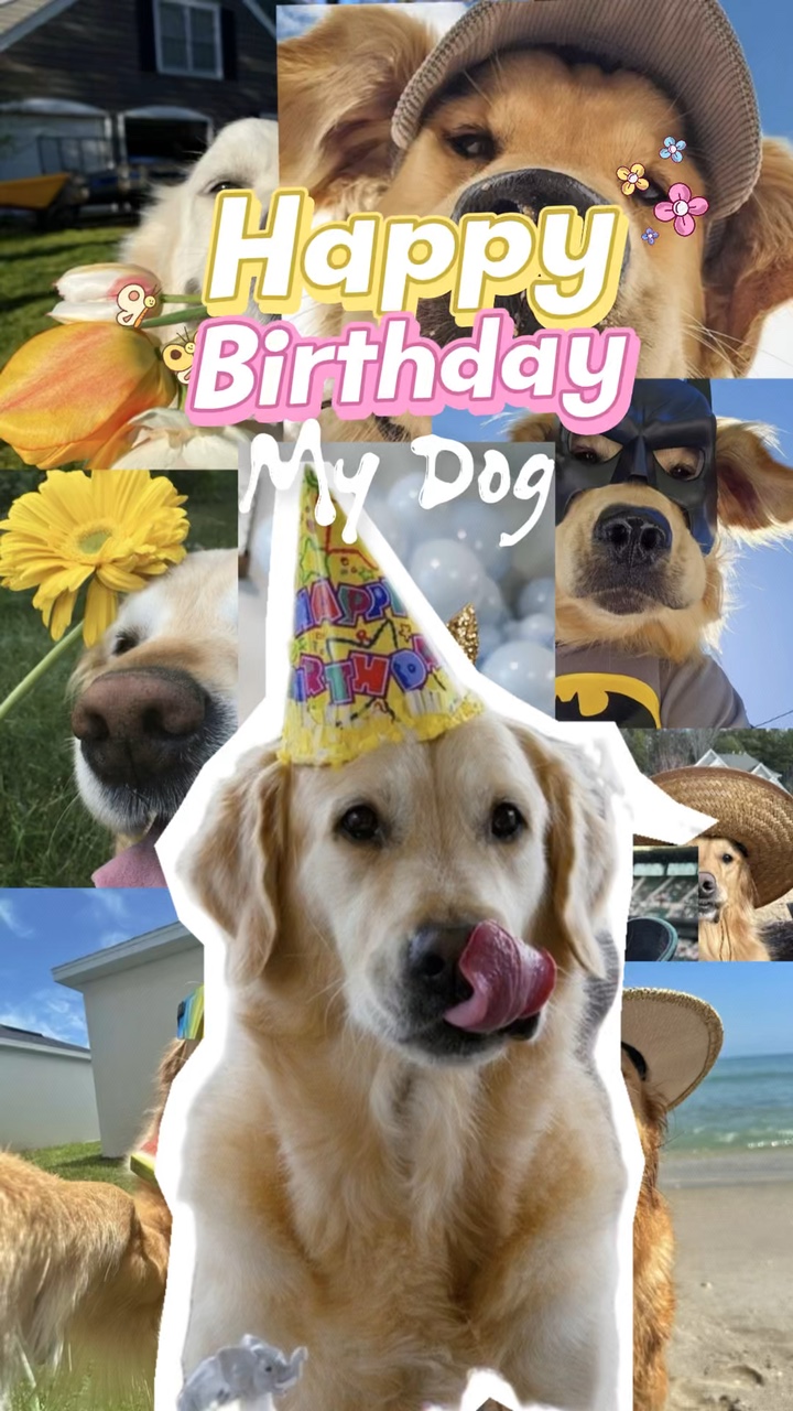 Birthday my dog