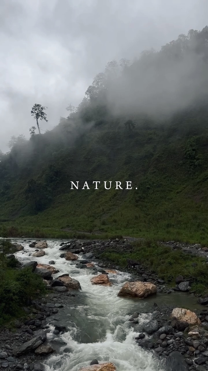 nature