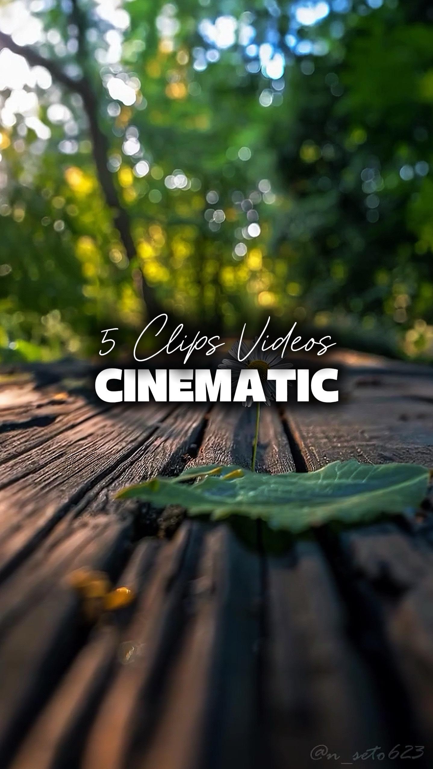 5 Vídeos Cinematográficos 