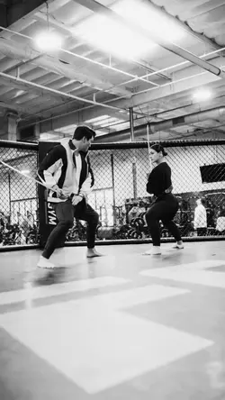 Ninja Fight Training