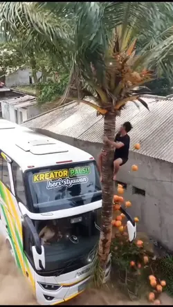 DITABRAK BUS NYASAR