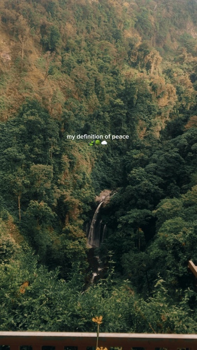 Forest therapy