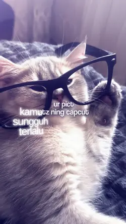 VERSI NO MIROR