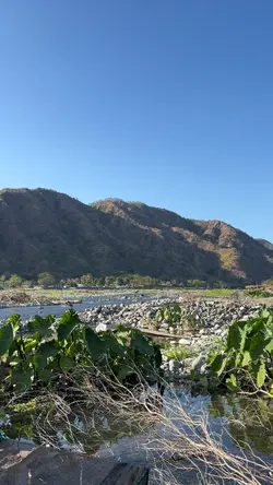 Takas