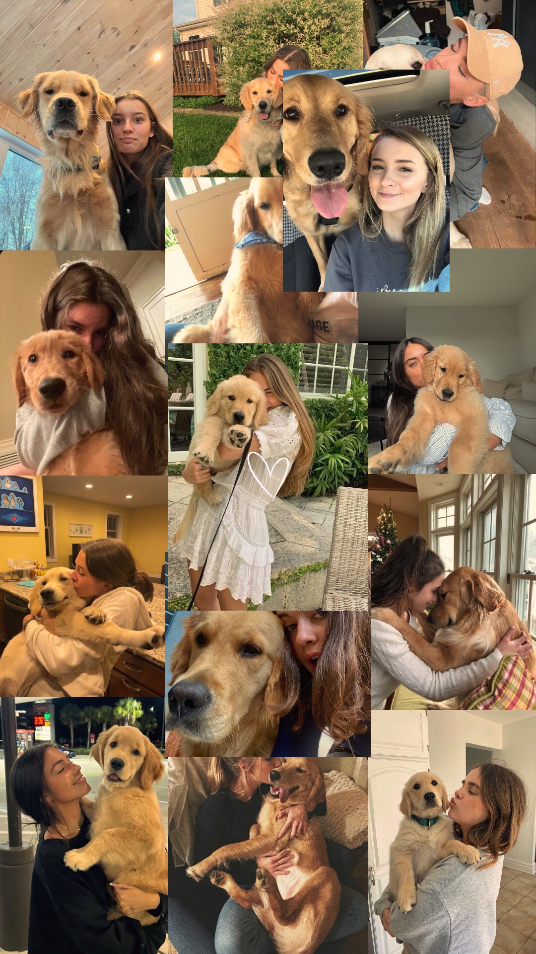 My dog