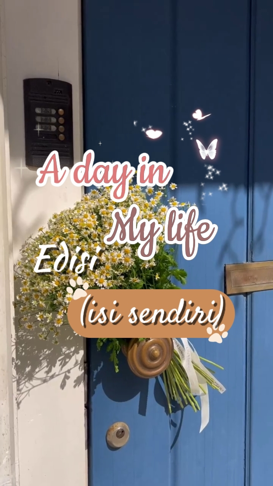 Dailyvlog 'un açılması