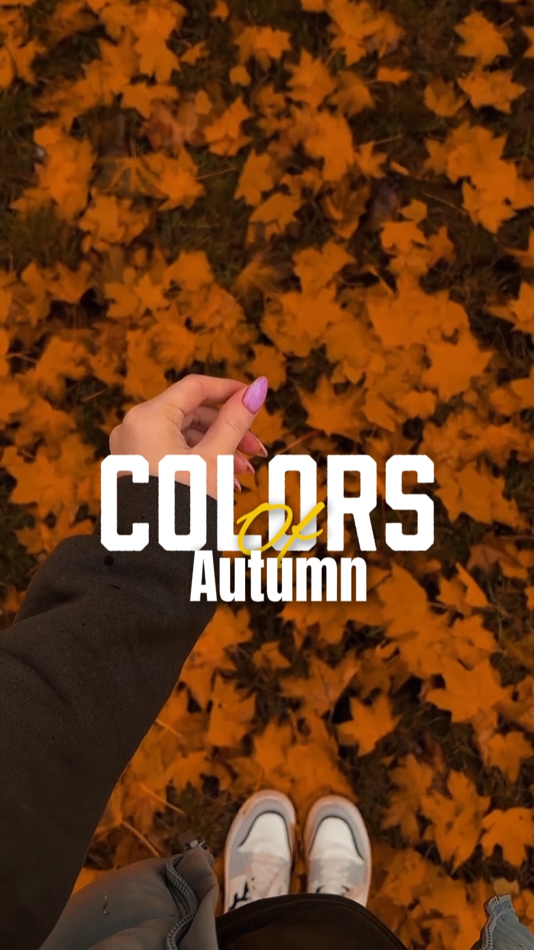 Cores do outono