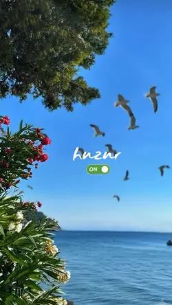 Huzur 🤍
