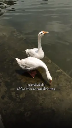 กลัวคนอื่นเสียใจ
