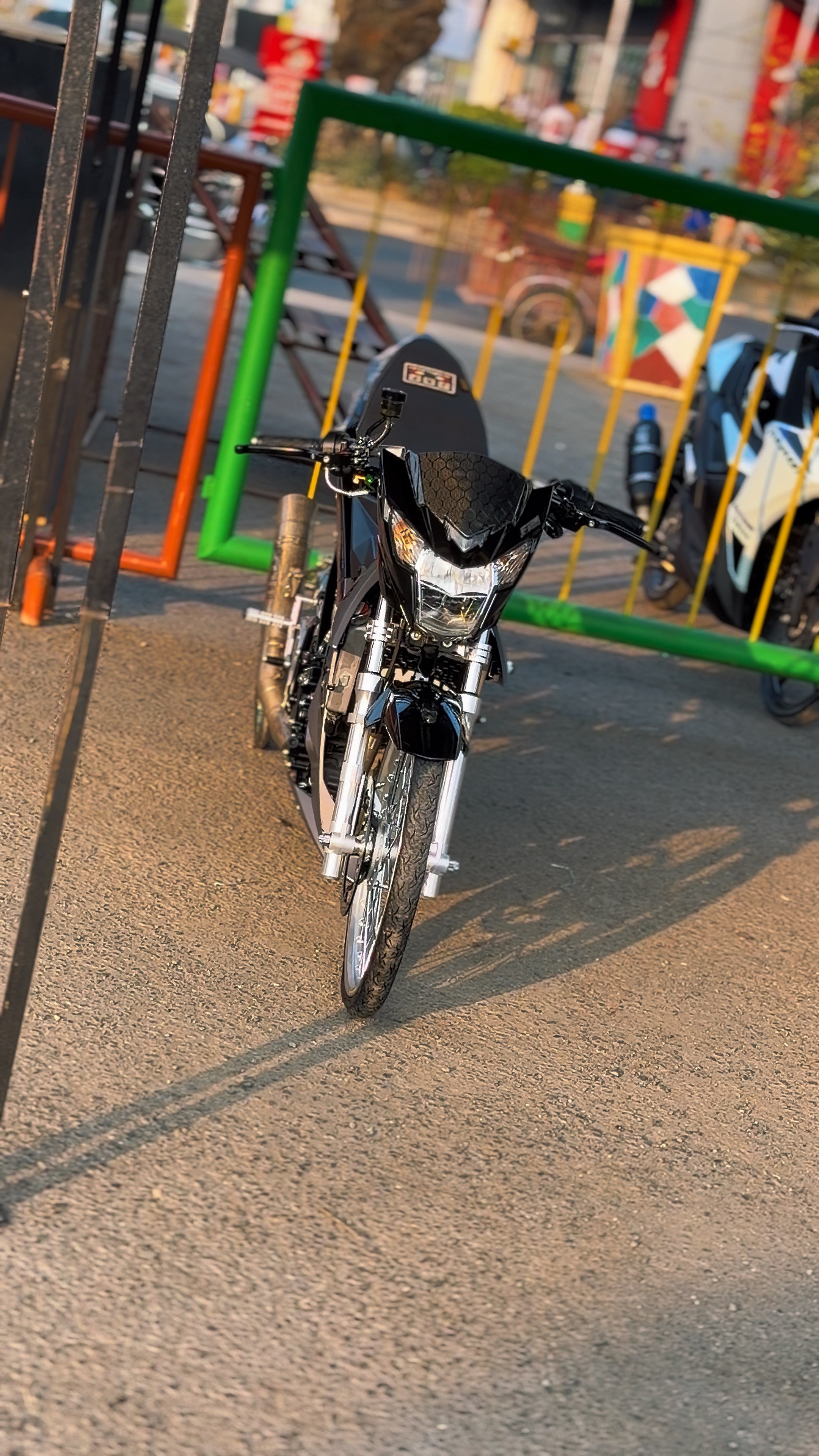Cover Picture
