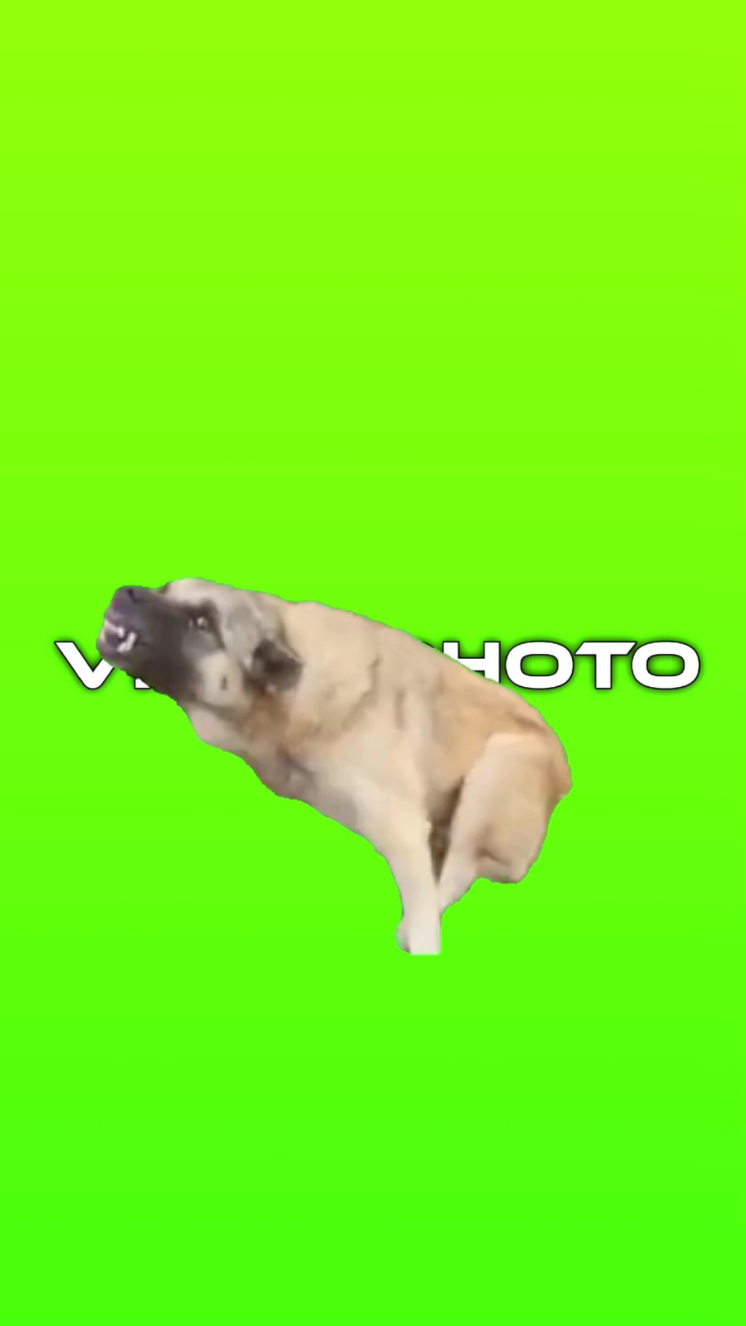 Uso ng aso 