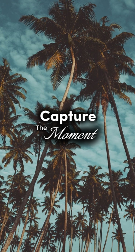 Momen | 35 foto 