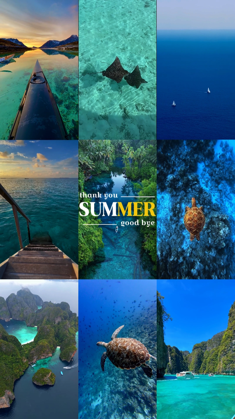 thank you summer