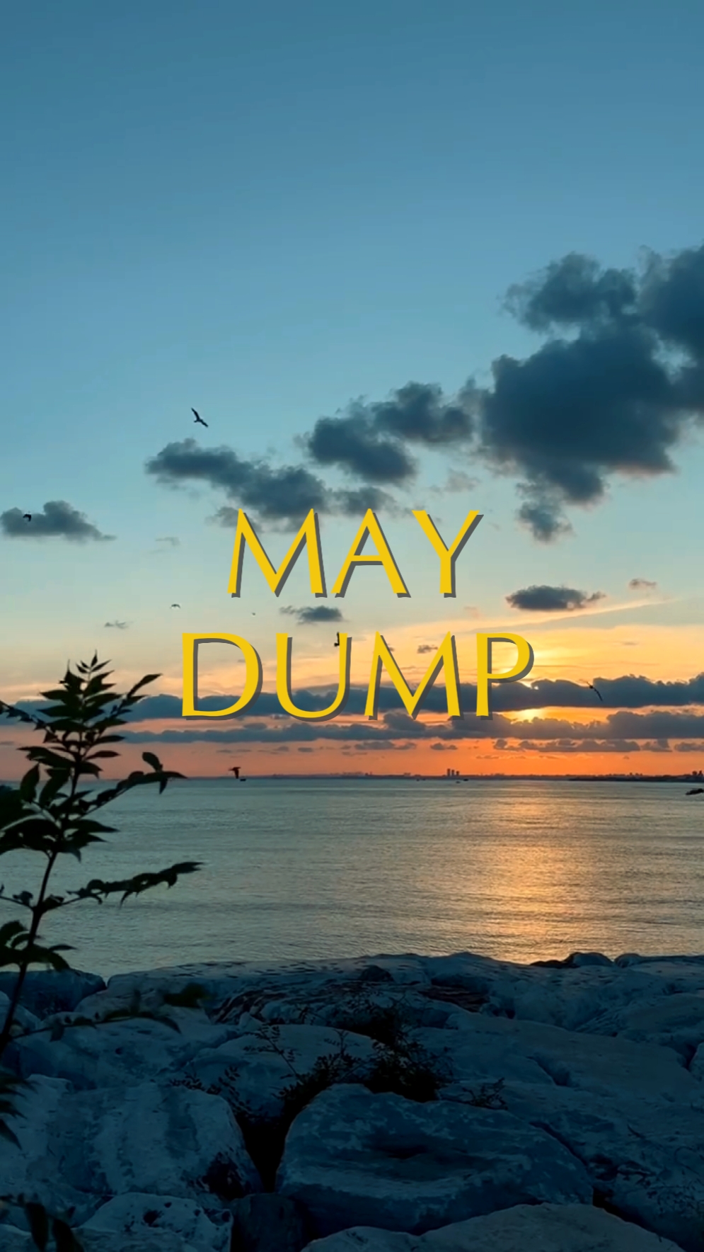 May Dump