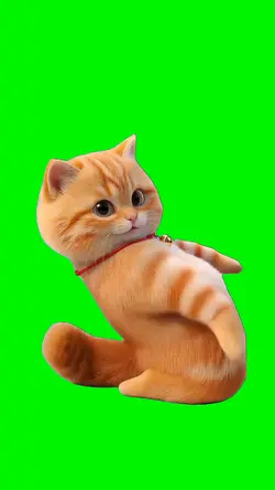 PussyCat Doll