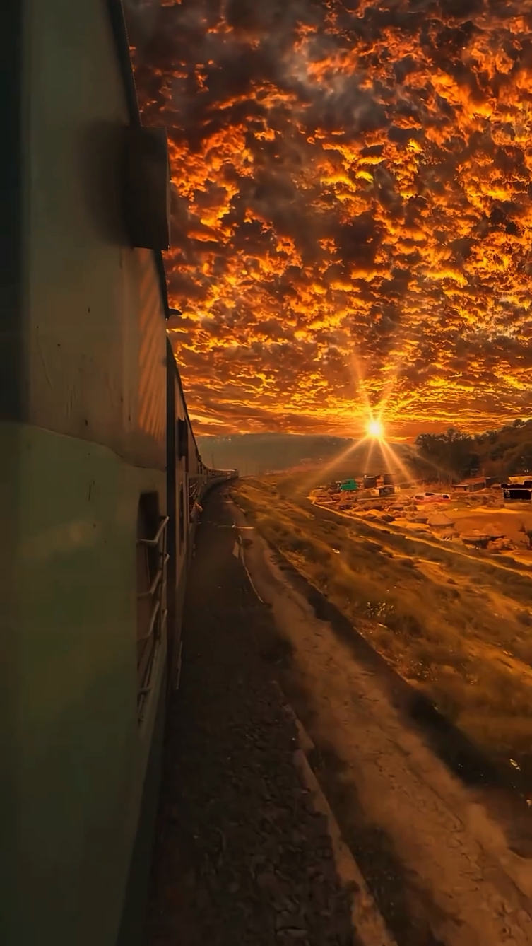 Train View