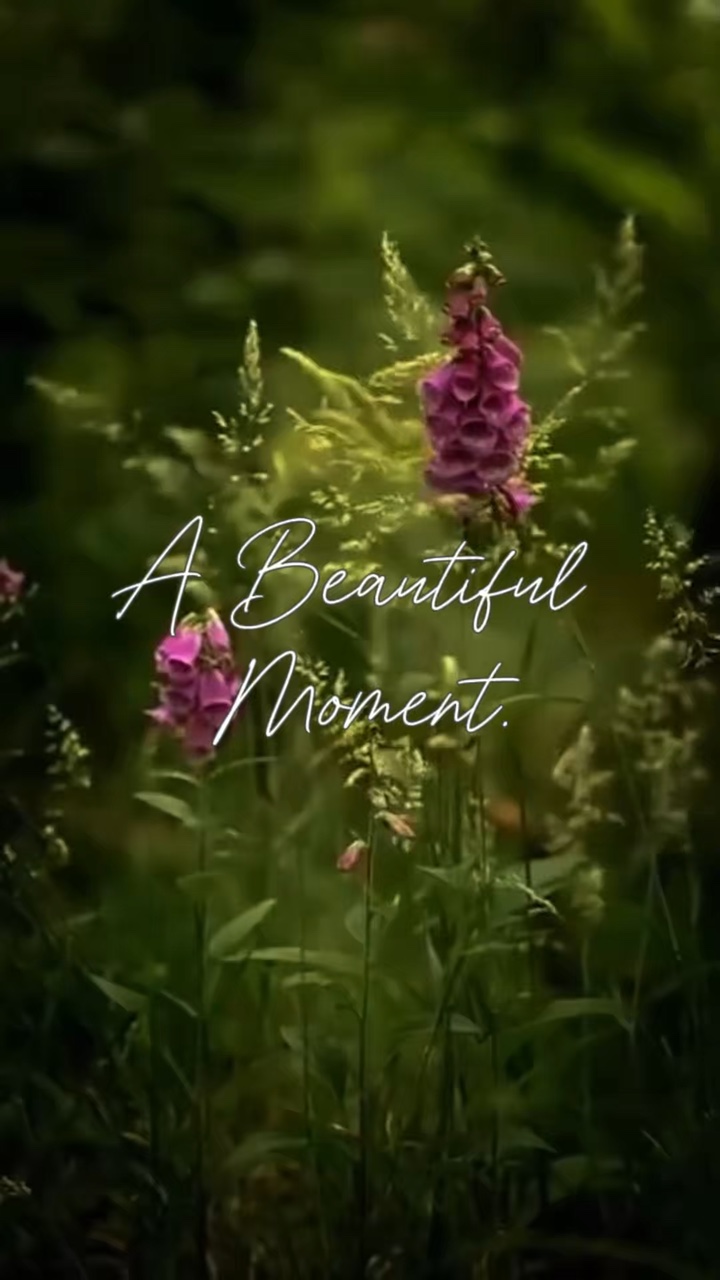 Moments