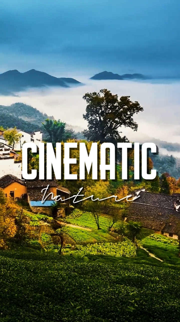 NATURE CINÉMATIQUE 