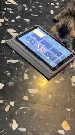 Gatto intelligente