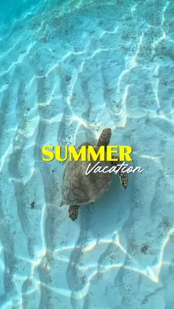 Summer Vacation
