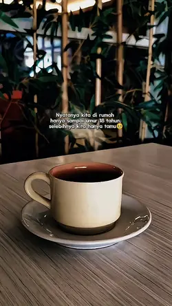 hanya tamu 