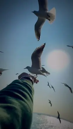 MẶT VÀO ÁO LÍNH