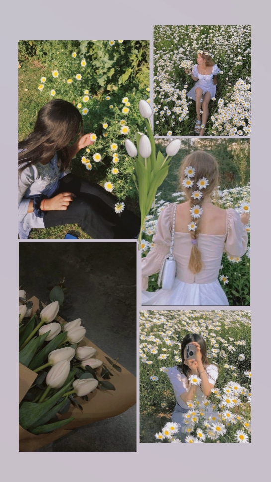 love flower .