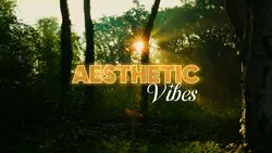 Aesthetic