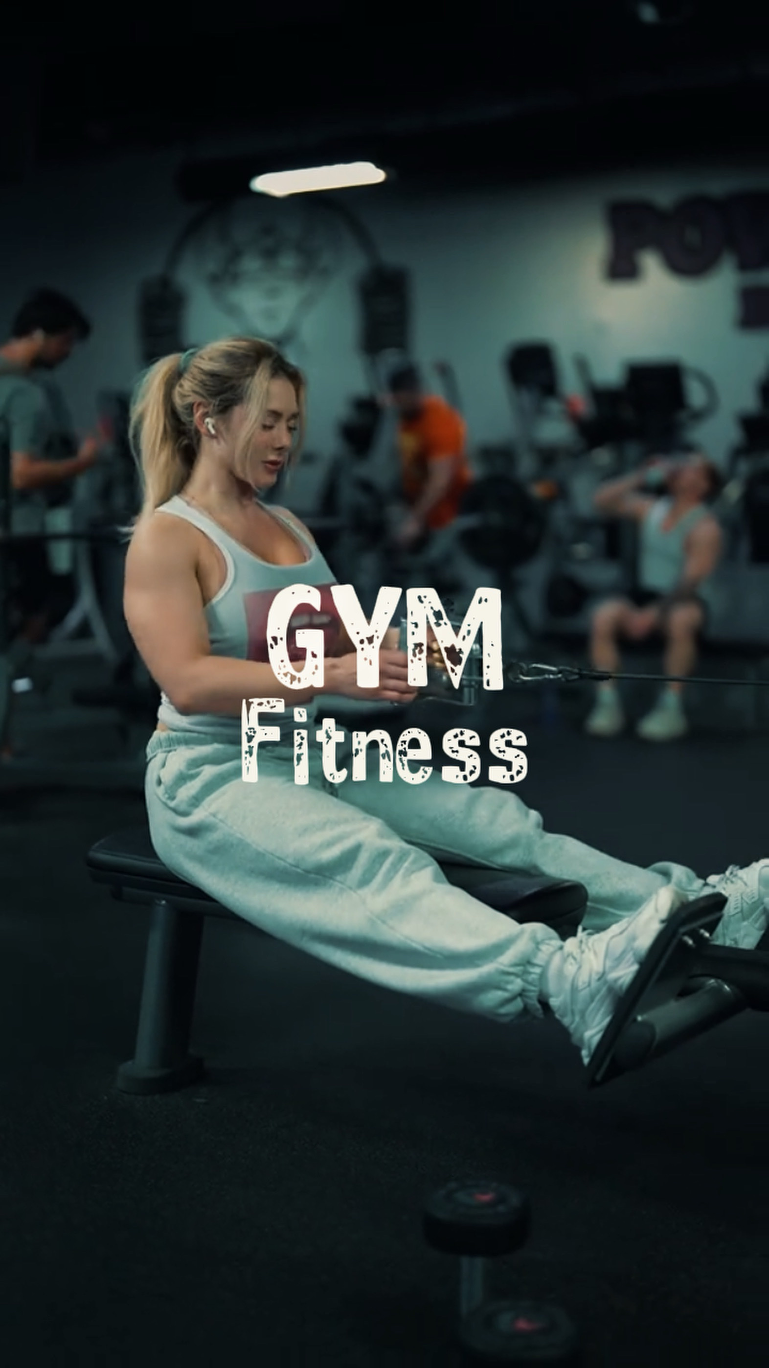 Gym Fitness
