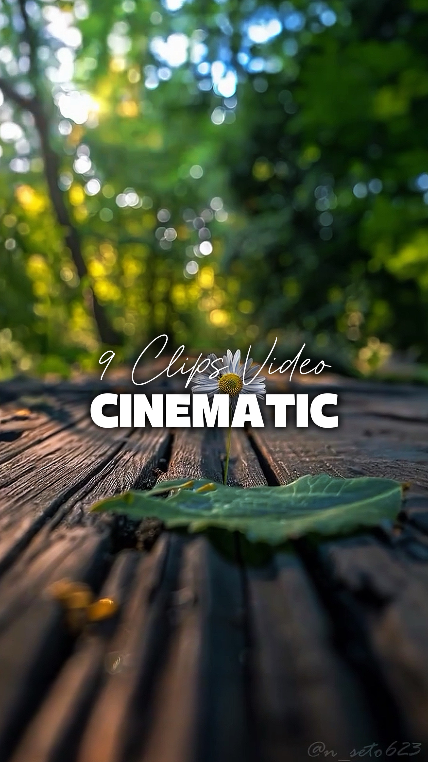 9 Videos Cinematic 