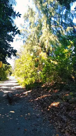 PATH!