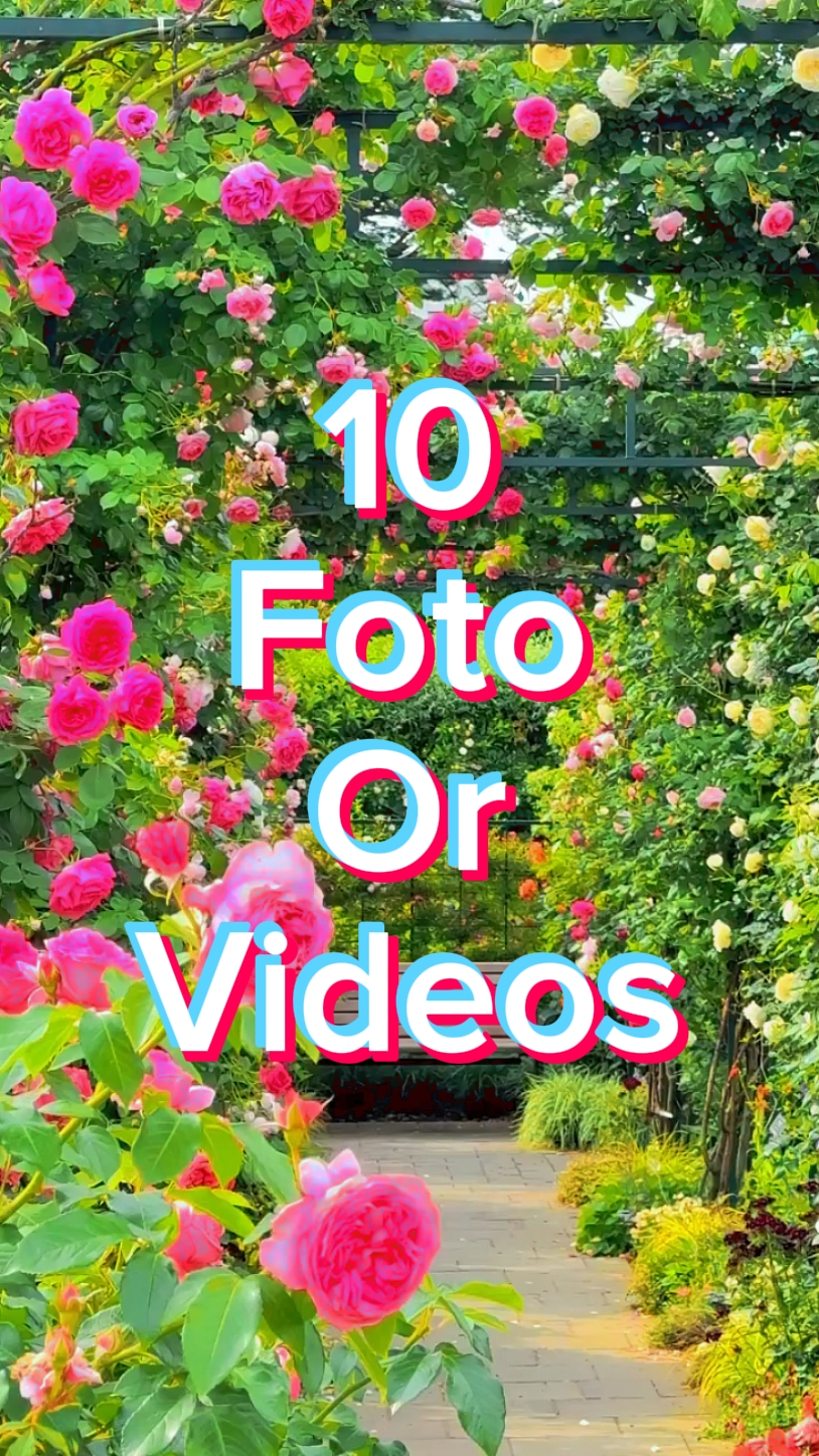 10 Foto Slayt