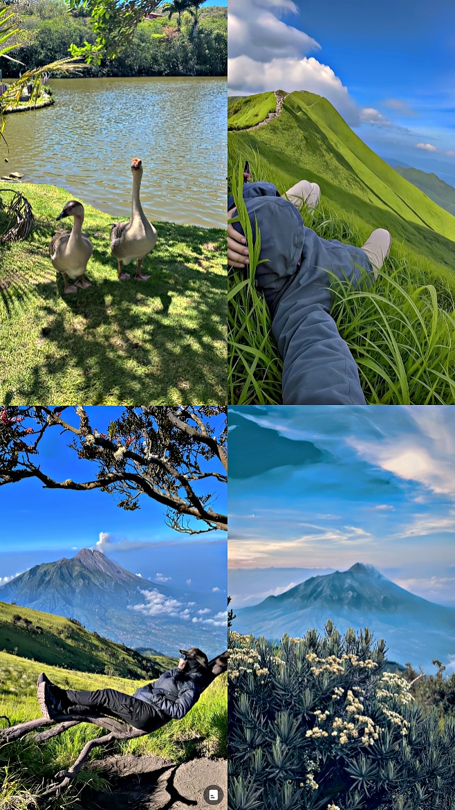filter iPhone 