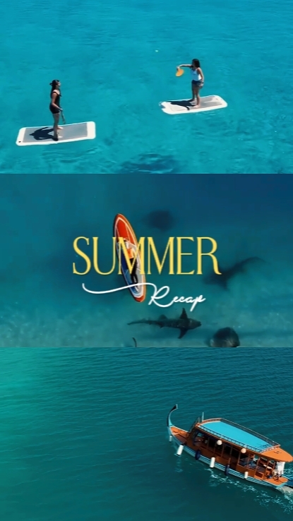 Sommer-Zusammenfassung 