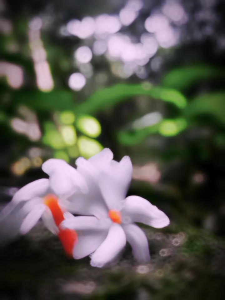 আমি তোমাকে ছাড়া যদি