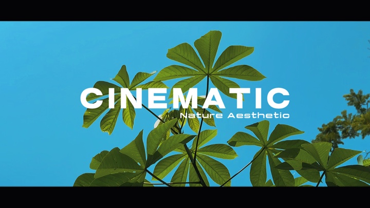 Cinematic Nature HD