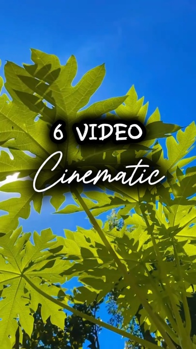 6 Vidéo cinématique