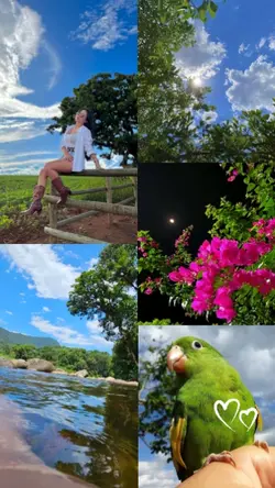 Minha Paz/Terapia