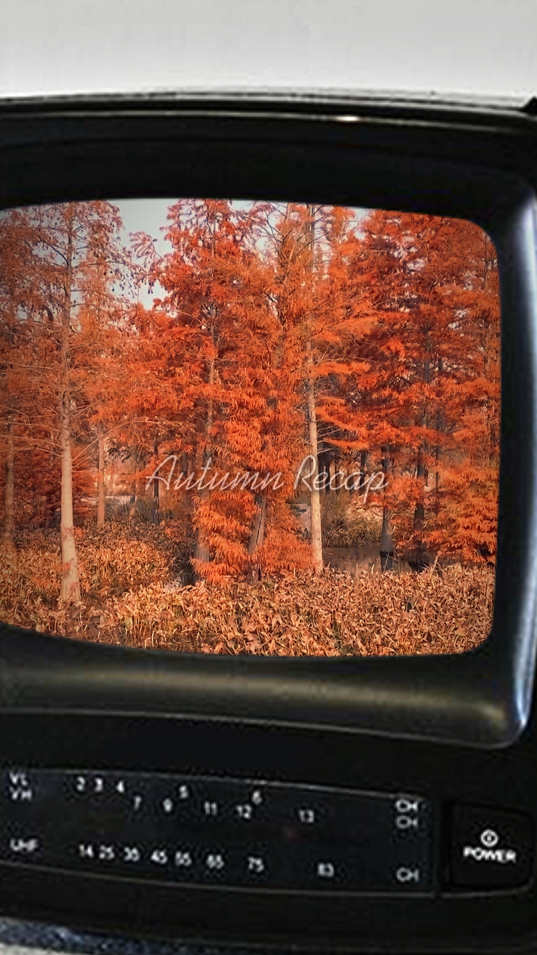 Autumn Vlog Dump