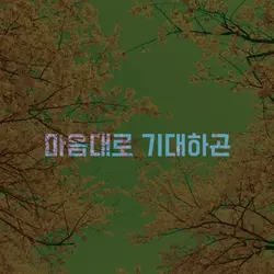 야마다 퍼펙트 타이포그래피 크로마키