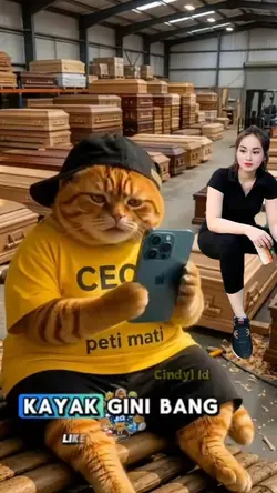 trend kucing lucu 