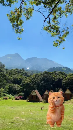 2video