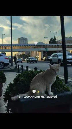 şimdi nerde