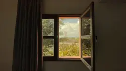 teh hijau tulus
