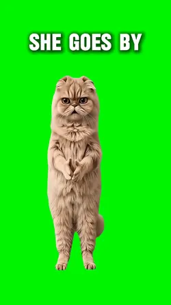 SHE GOES BY CAT