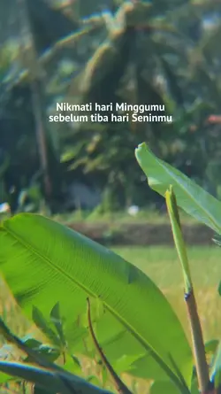 nikmati minggumu