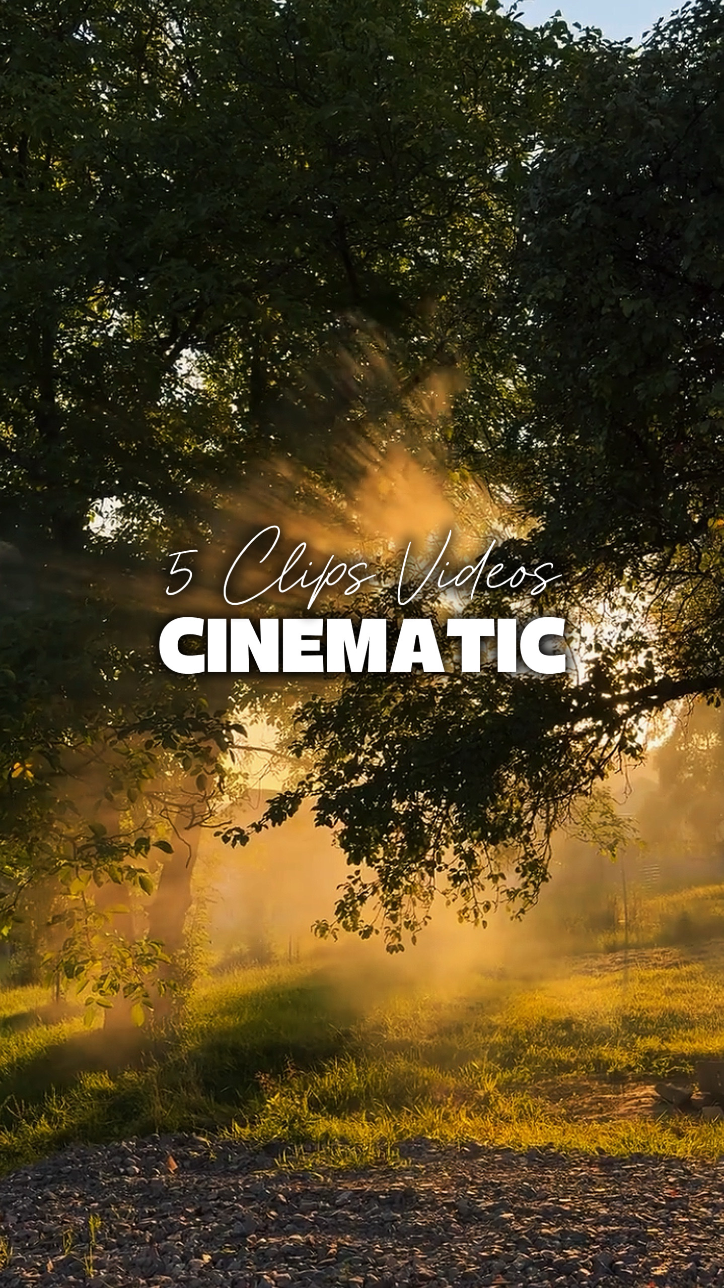 5 Videos Cinematic 