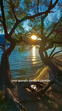 Criação de Vídeos! 