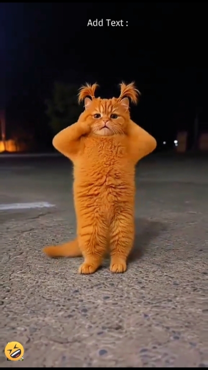 Lustige Katze: