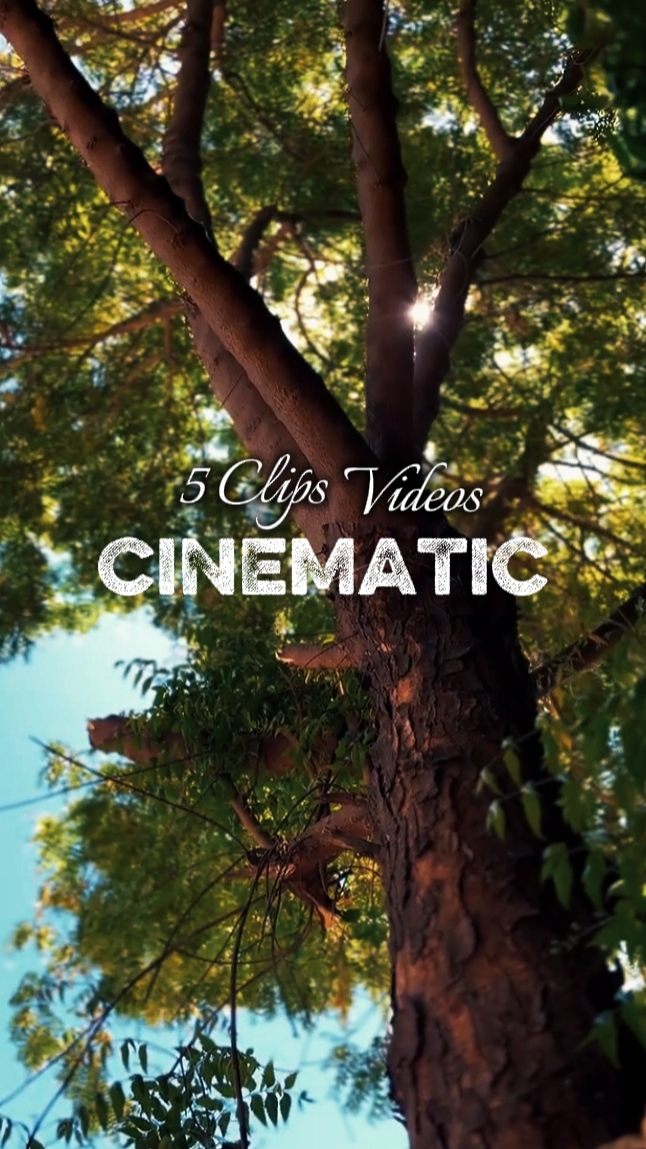 5 Clips Aesthetic